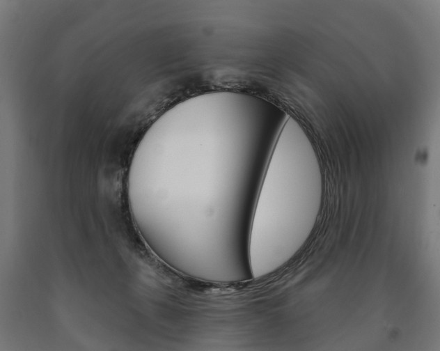 X0000091000271200708021231