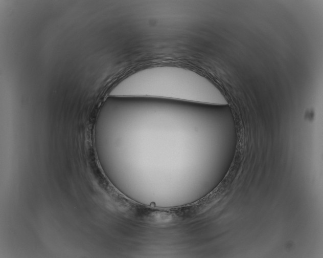 X0000091000272200708021231