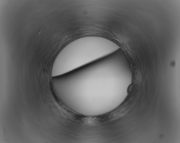 X0000091000273200708021231