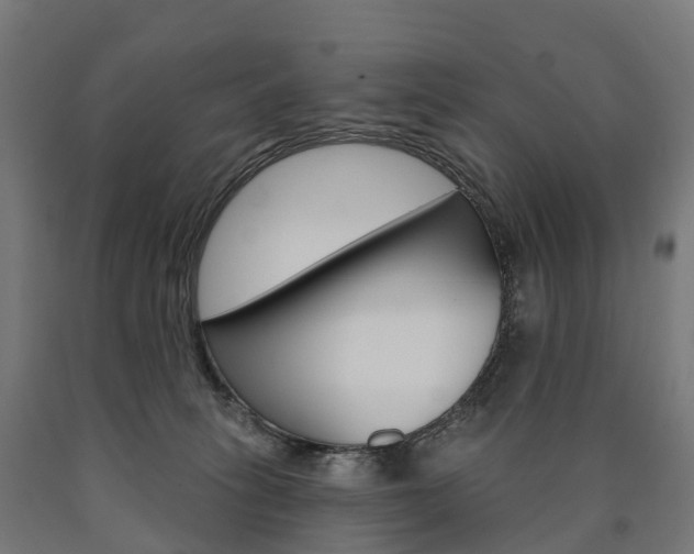 X0000091000275200708021231