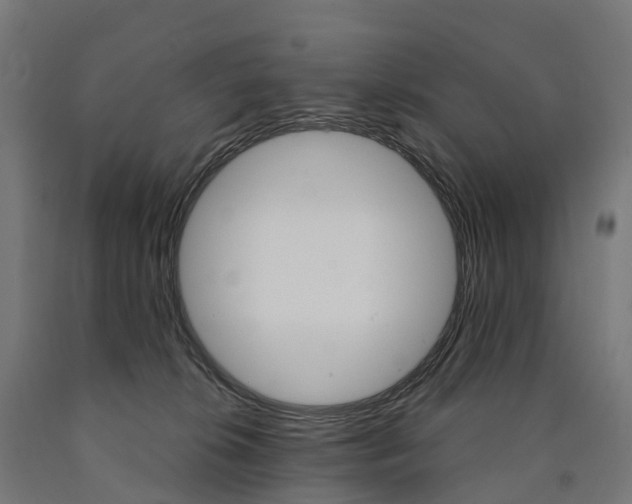 X0000091000276200708021231