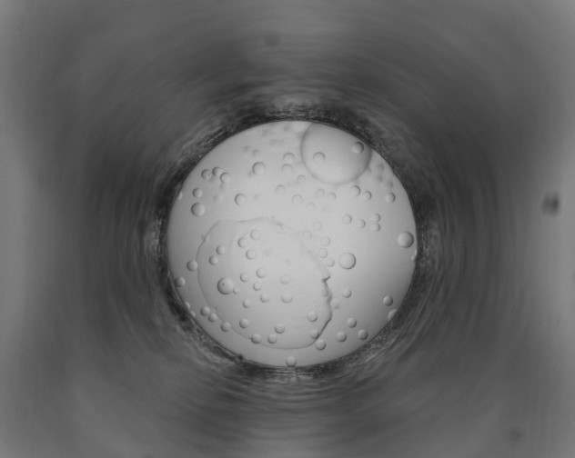 X0000091000278200708021231