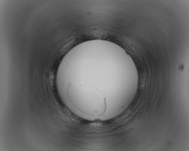 X0000091000279200708021231