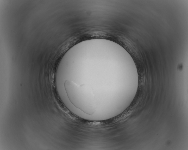 X0000091000281200708021231