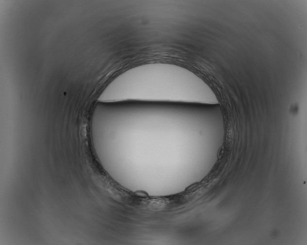 X0000091000282200708021231