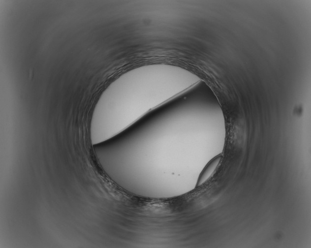 X0000091000283200708021231