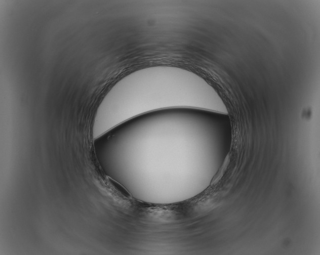 X0000091000284200708021232
