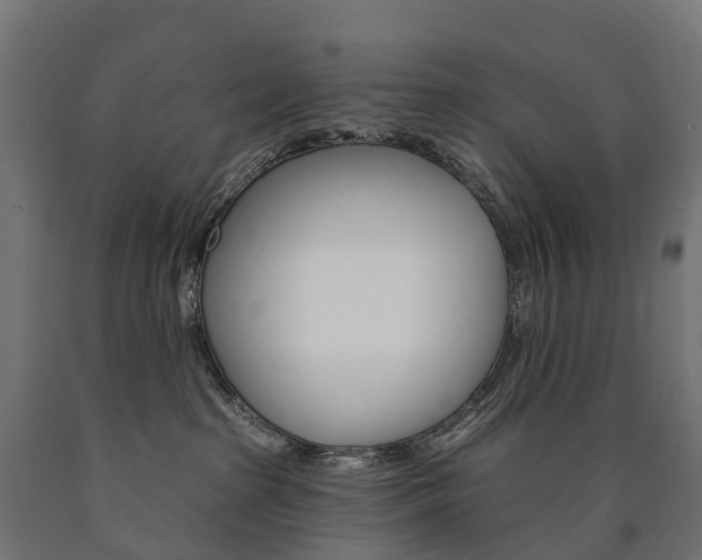 X0000091000285200708021232