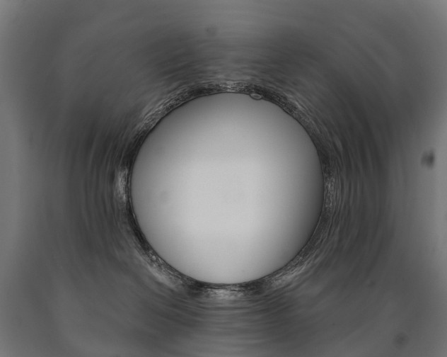 X0000091000286200708021232