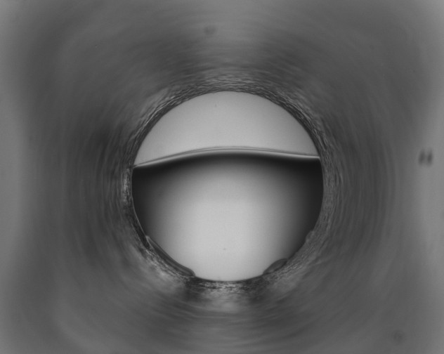 X0000091000288200708021232