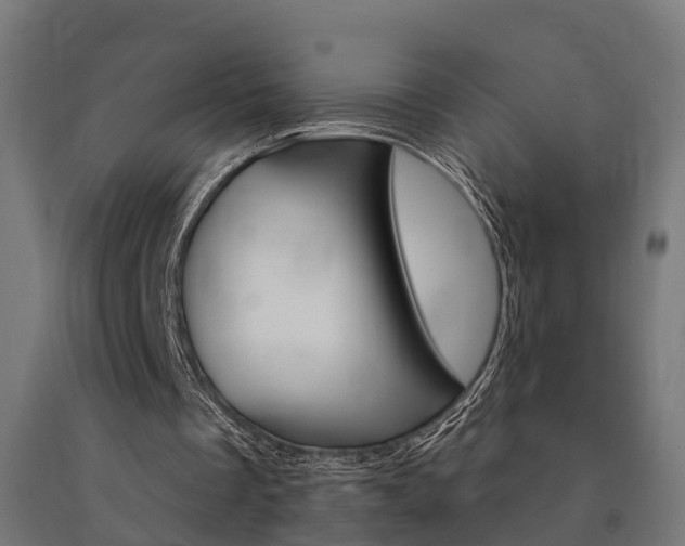 X0000091000289200708021231