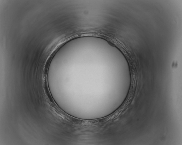 X0000091000290200708021231