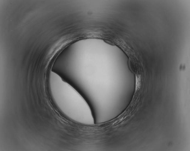 X0000091000291200708021231