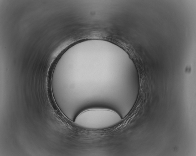 X0000091000292200708021231