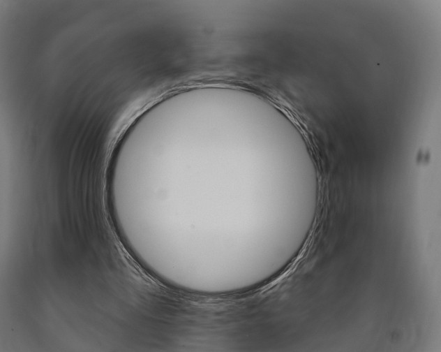 X0000091000293200708021231