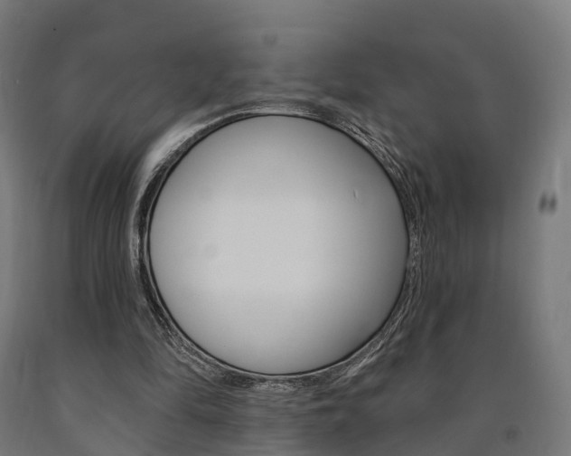 X0000091000294200708021231