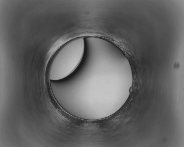 X0000091000296200708021231