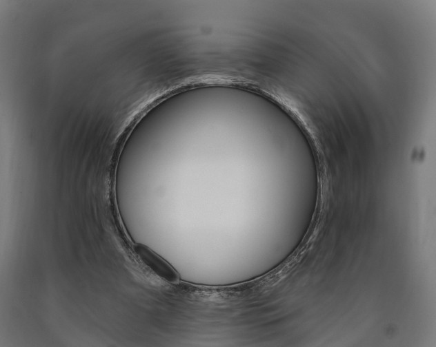 X0000091000297200708021231