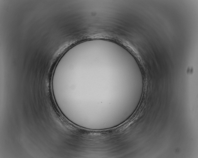 X0000091000298200708021231