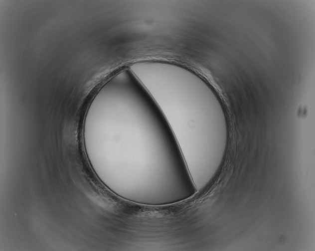 X0000091000299200708021231