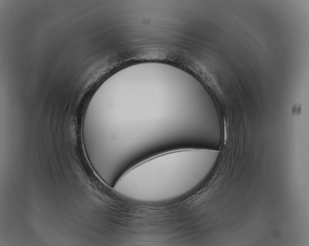X0000091000300200708021231