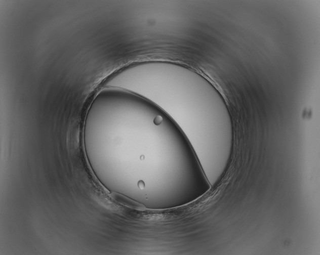 X0000091000301200708021231