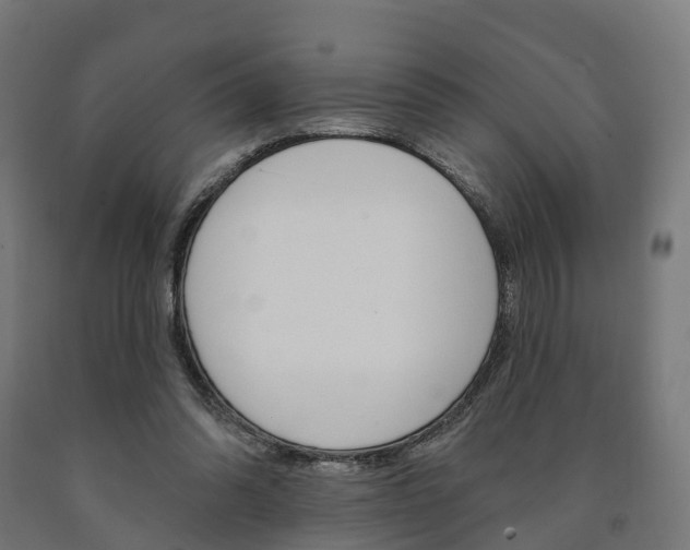 X0000091000302200708021231