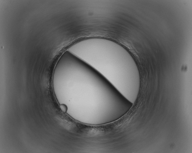 X0000091000303200708021231