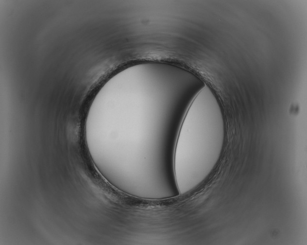 X0000091000304200708021231