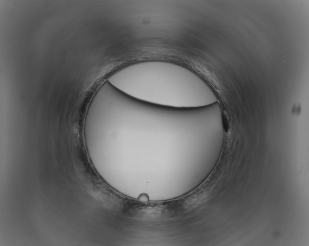 X0000091000306200708021231