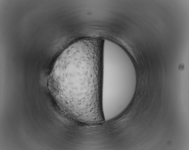 X0000091000307200708021231