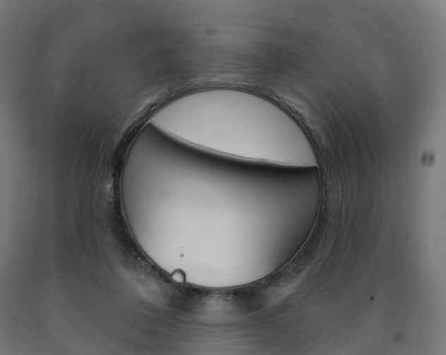 X0000091000308200708021231