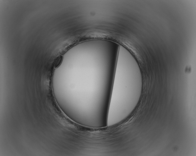 X0000091000309200708021231
