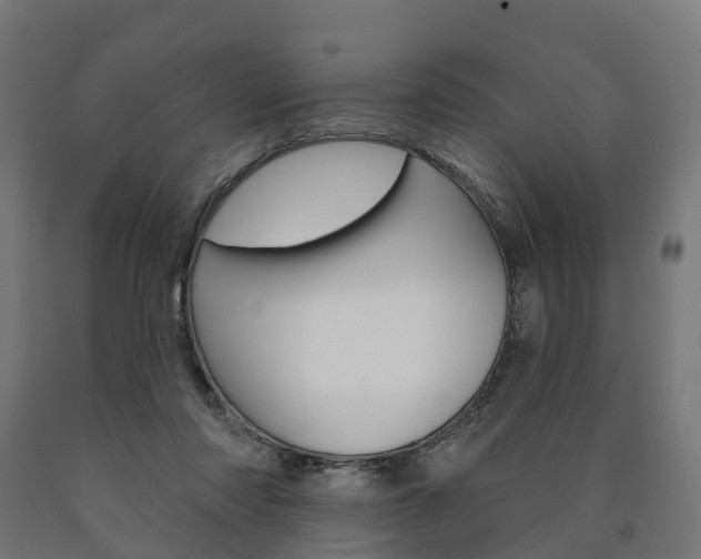 X0000091000310200708021231