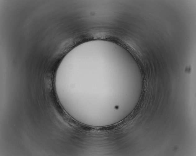 X0000091000311200708021231