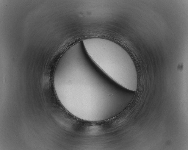 X0000091000312200708021230