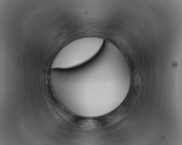 X0000091000316200708021230