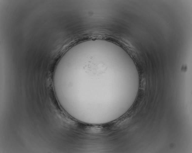 X0000091000318200708021230