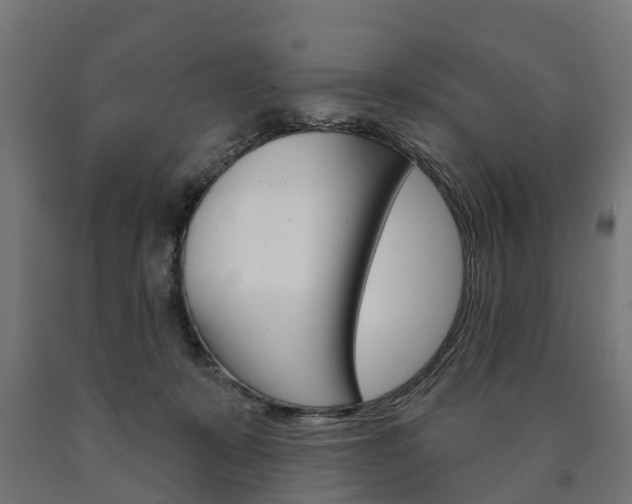 X0000091000319200708021230