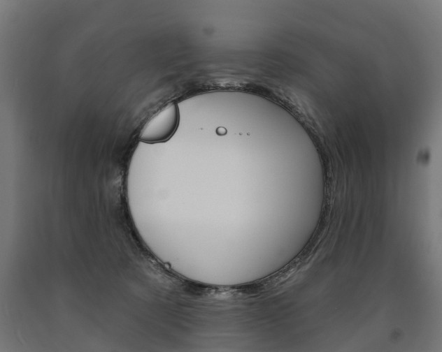 X0000091000321200708021230
