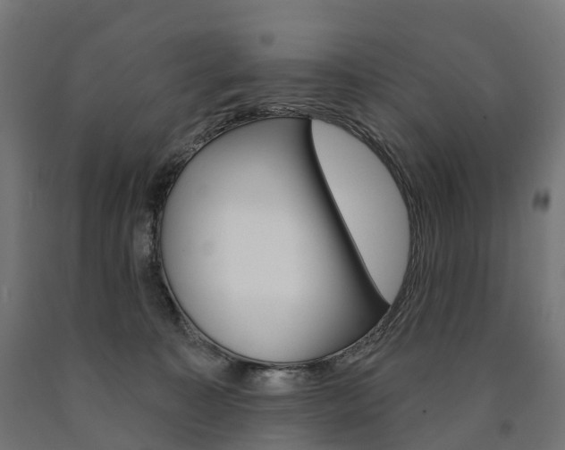 X0000091000323200708021230
