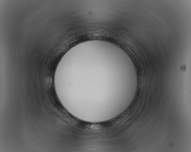 X0000091000324200708021230