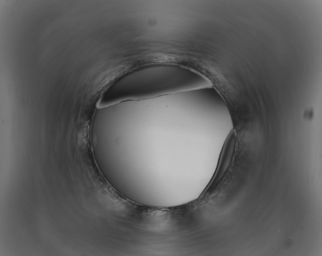 X0000091000325200708021230