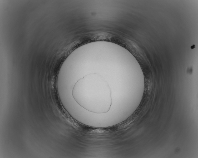 X0000091000326200708021230