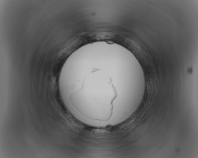 X0000091000327200708021230