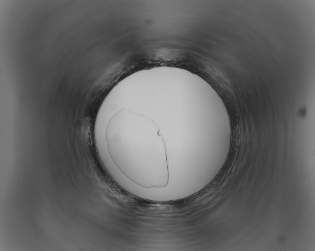 X0000091000328200708021230