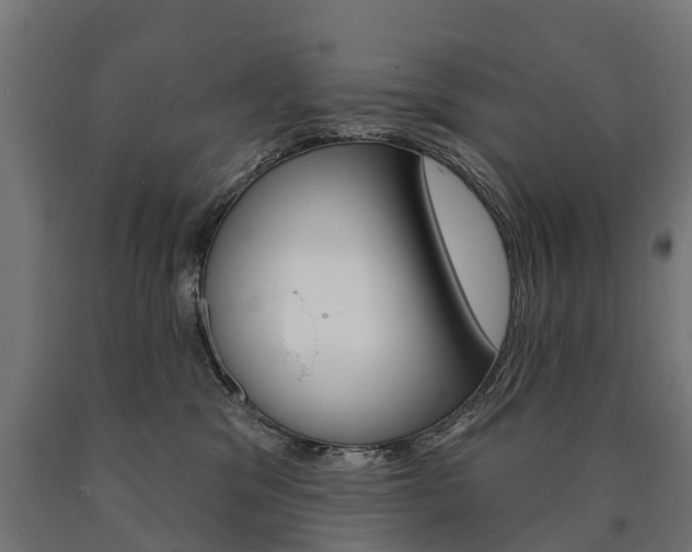 X0000091000329200708021230