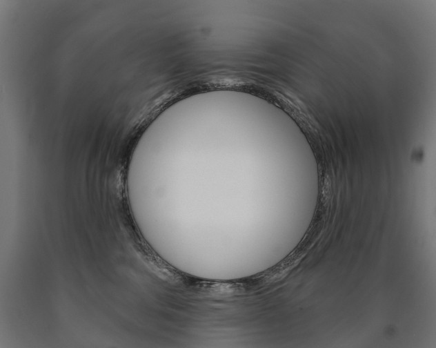 X0000091000330200708021230