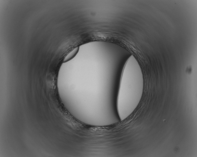 X0000091000331200708021230