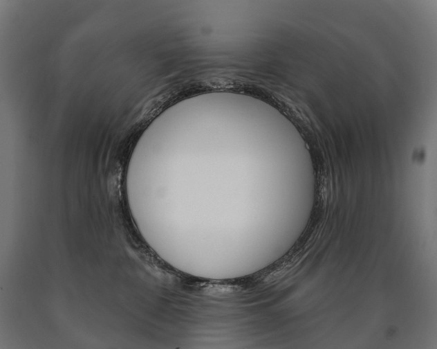 X0000091000332200708021230